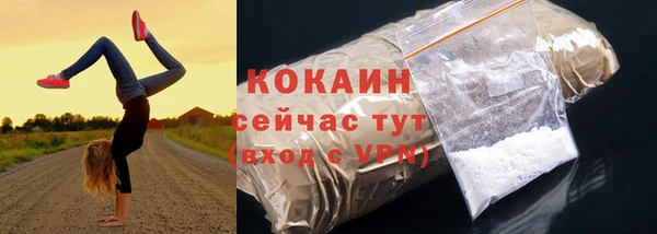 кокс Арсеньев