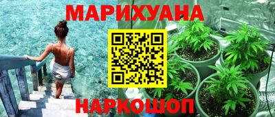 прущие крисы Гусев