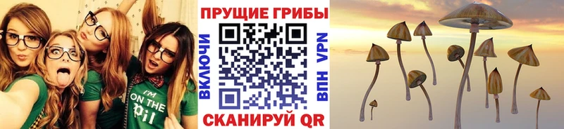 купить  цена  Рыбинск  Галлюциногенные грибы мухоморы 